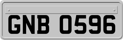 GNB0596