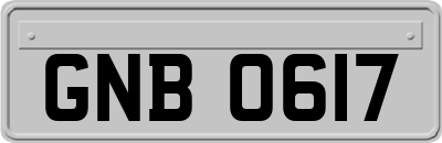 GNB0617