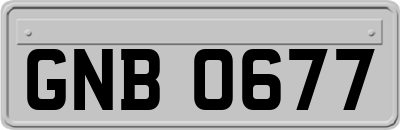 GNB0677