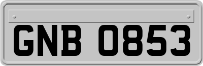 GNB0853