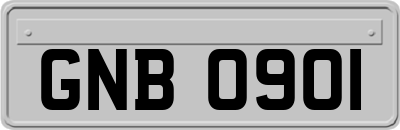 GNB0901