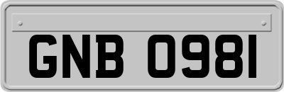 GNB0981