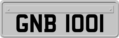 GNB1001