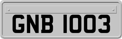 GNB1003