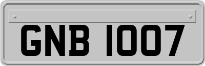 GNB1007