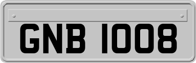 GNB1008