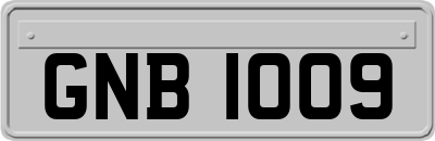 GNB1009