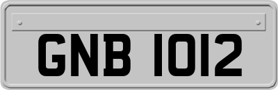 GNB1012