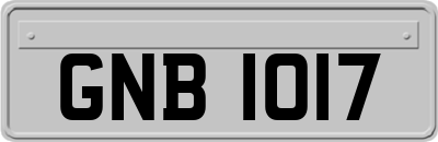 GNB1017