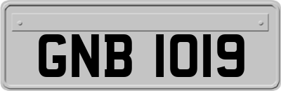 GNB1019
