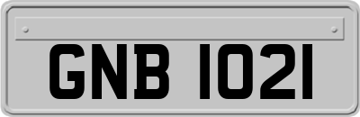 GNB1021