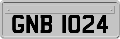 GNB1024