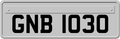 GNB1030