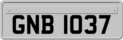 GNB1037