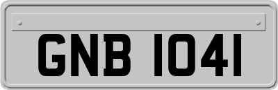 GNB1041