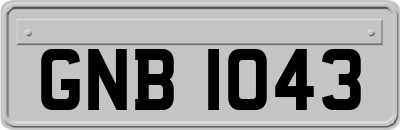 GNB1043