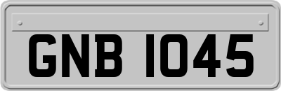 GNB1045