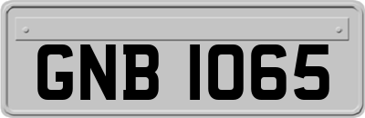 GNB1065