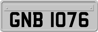 GNB1076