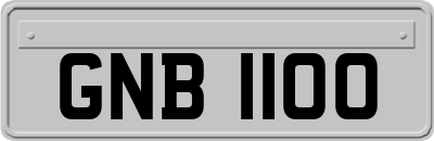 GNB1100