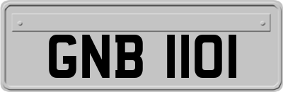 GNB1101