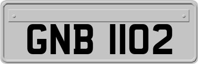 GNB1102