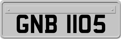 GNB1105