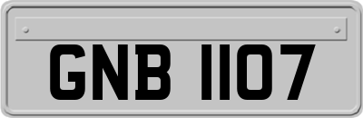 GNB1107