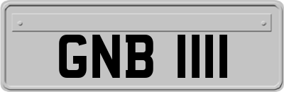 GNB1111