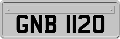 GNB1120