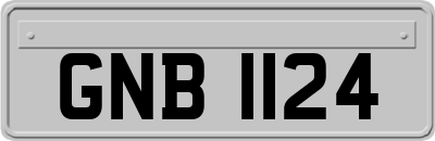 GNB1124