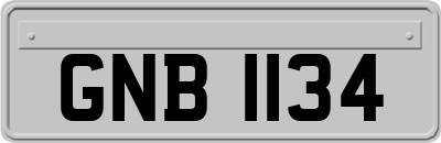 GNB1134