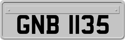 GNB1135