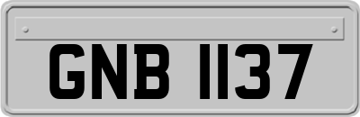 GNB1137