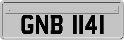 GNB1141