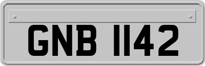 GNB1142