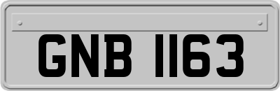 GNB1163