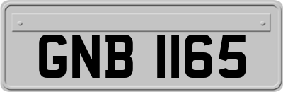GNB1165