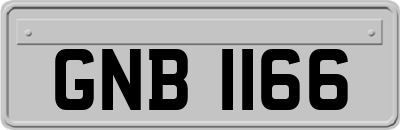 GNB1166