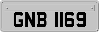 GNB1169