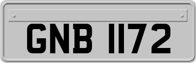 GNB1172