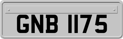 GNB1175