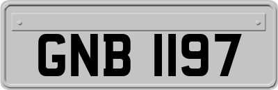 GNB1197