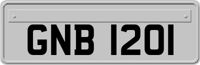 GNB1201