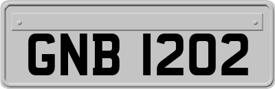 GNB1202