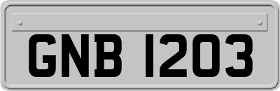 GNB1203