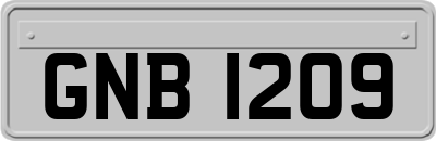GNB1209