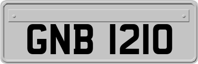 GNB1210