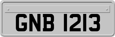 GNB1213
