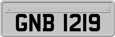 GNB1219